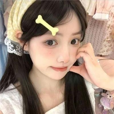 巡回检察组
